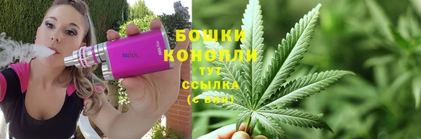 МДПВ Костерёво