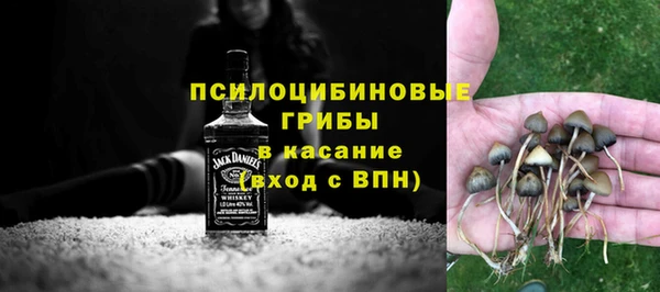 ПСИЛОЦИБИНОВЫЕ ГРИБЫ Коряжма