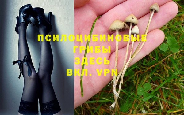 ПСИЛОЦИБИНОВЫЕ ГРИБЫ Коряжма