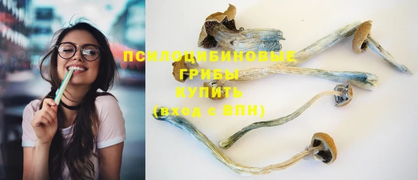 а пвп мука Корсаков