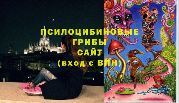 а пвп мука Корсаков