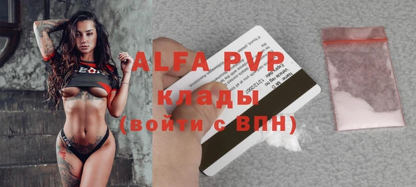 ПСИЛОЦИБИНОВЫЕ ГРИБЫ Коряжма