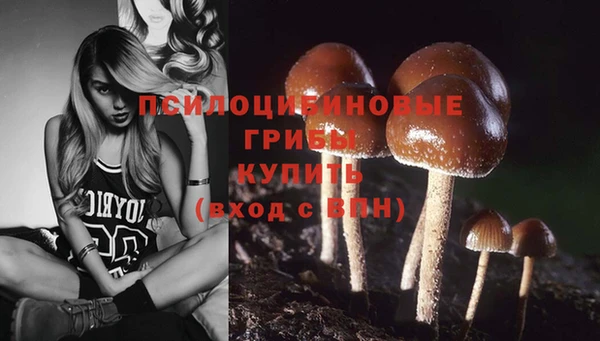 ПСИЛОЦИБИНОВЫЕ ГРИБЫ Коряжма