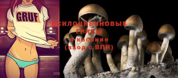 ПСИЛОЦИБИНОВЫЕ ГРИБЫ Коряжма