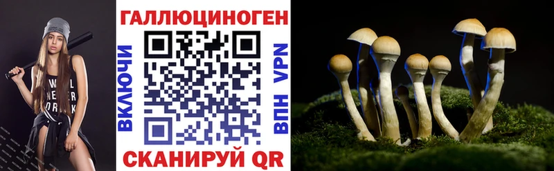 Купить  Севск  Псилоцибиновые грибы GOLDEN TEACHER 
