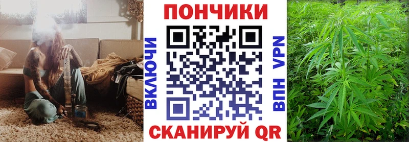 Купить закладки Севск Конопля планчик